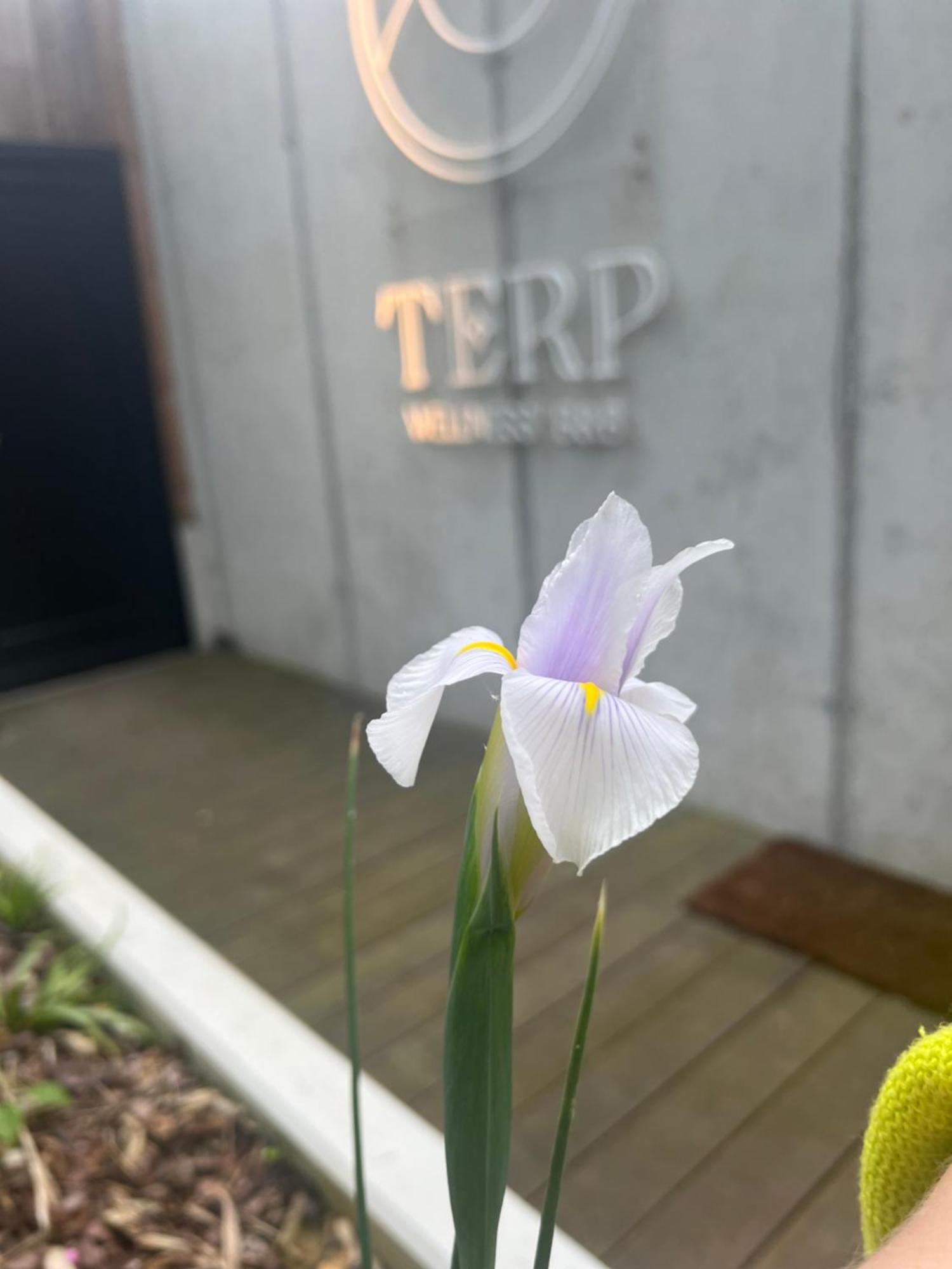 波佩林赫Terp住宿加早餐旅馆 外观 照片